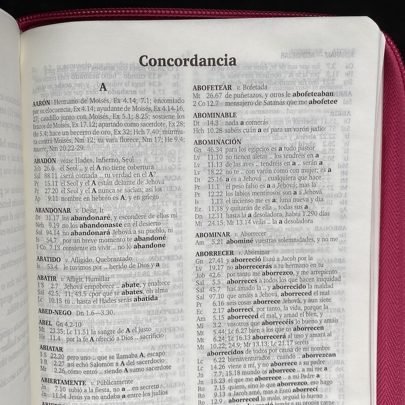 Biblia Rvr Czti Lg Pjr Tama O Manual Letra Grande Tricolor I Piel