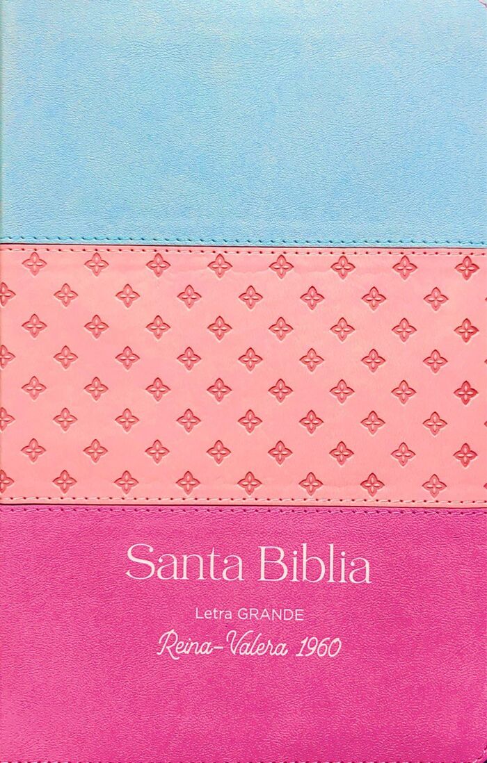 Biblia RVR60 tamaño manual Letra Grande i/piel Tricolor Azul/Rosa/Lila con índice/cierre