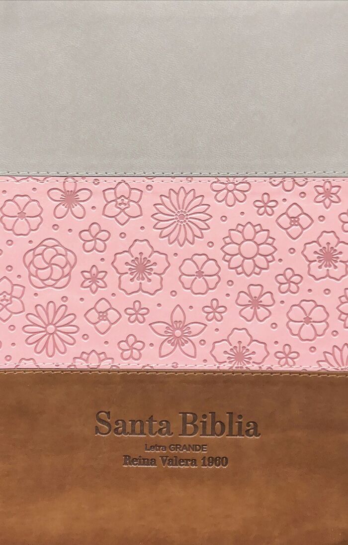 Biblia RVR60 tamaño manual Letra Grande i/piel Tricolor Gris/Rosa/Marrón con índice/cierre