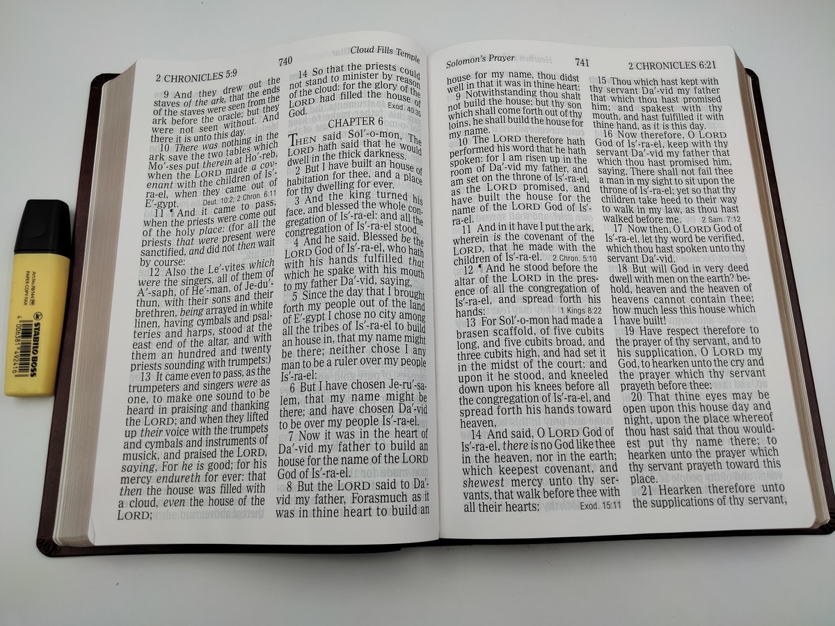 KJV SUPER GIANT PRINT REFERENCE BIBLE BROWN LEATHERTOUCH - KJV ...