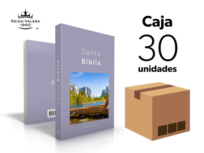 Caja de 30 Biblias misioneras RVR60 - Diseño Lila Yosemite