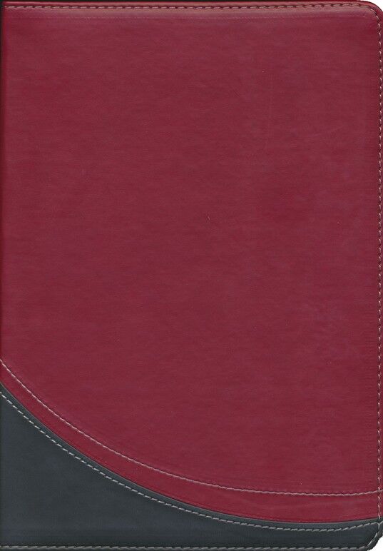 Biblia en Orden Cronológico RVR60 i/piel Rojo/Negro (Nueva Edición Cronológica)