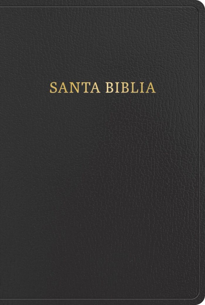 Biblia RVR60 Letra Gigante Referencias Negro i/piel (Nueva tipografía)