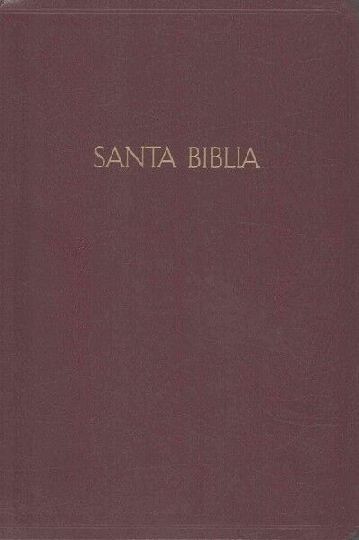 Biblia RVR60 Letra Gigante con Referencias vino imitación piel con índice