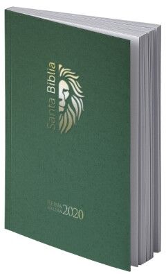 Biblia RVR2020 Tamaño Manual Letra Grande Rústica Verde