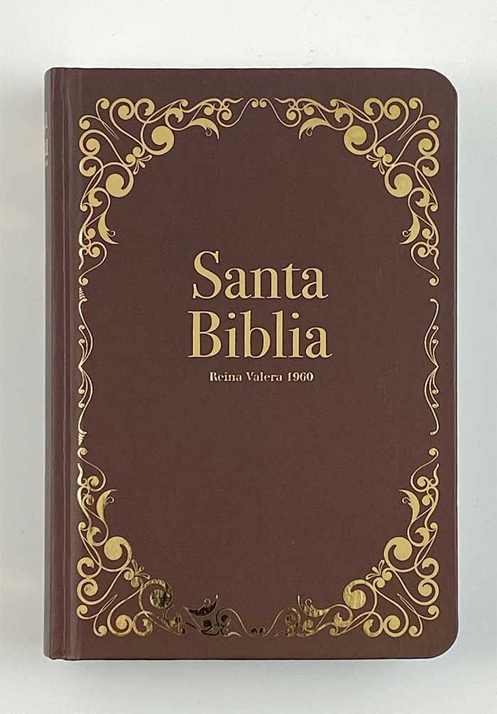 Biblia RVR60 Tamaño Portátil Letra Grande Tapa Flex Verde - RVR60 ...