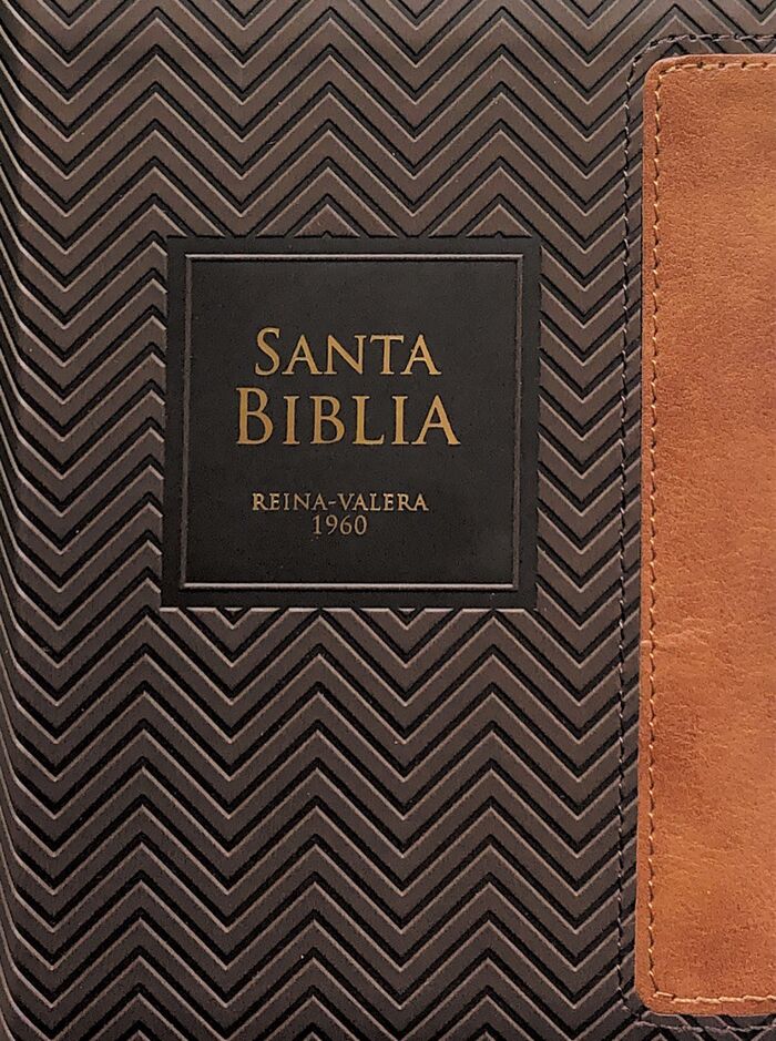 Biblia RVR60 Bolsillo i/piel Geométrico Café/Café con cierre/índice