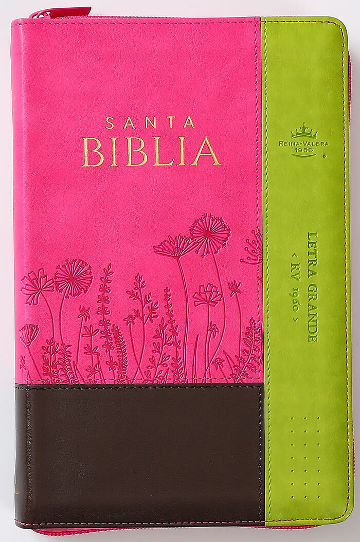 Biblia RVR60 Tamaño Manual letra grande i/piel Rosa/café/Lima cierre/índice